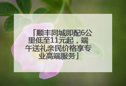 顺丰同城即配6公里低至11元起，端午送礼亲民价格享专业高端服务