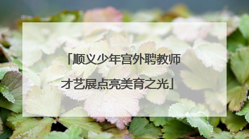 顺义少年宫外聘教师才艺展点亮美育之光