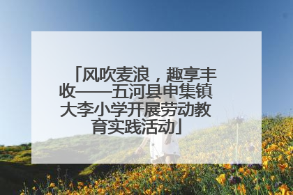 风吹麦浪，趣享丰收——五河县申集镇大李小学开展劳动教育实践活动