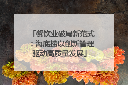 餐饮业破局新范式：海底捞以创新管理驱动高质量发展