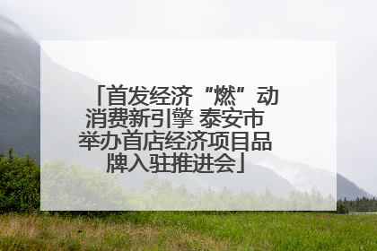 首发经济“燃”动消费新引擎 泰安市举办首店经济项目品牌入驻推进会