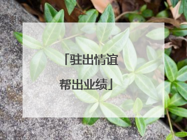 驻出情谊 帮出业绩