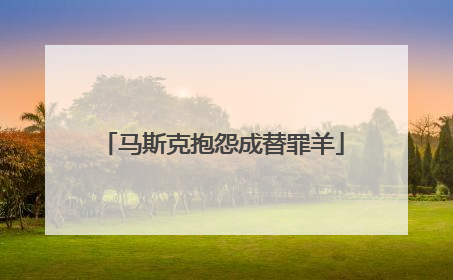 马斯克抱怨成替罪羊