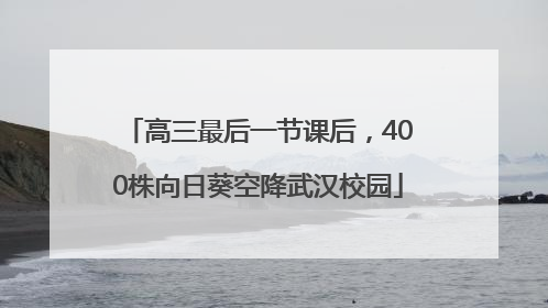 高三最后一节课后，400株向日葵空降武汉校园
