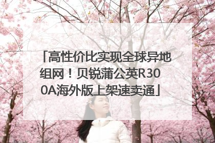 高性价比实现全球异地组网！贝锐蒲公英R300A海外版上架速卖通