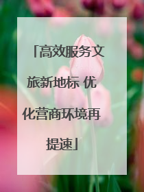 高效服务文旅新地标 优化营商环境再提速