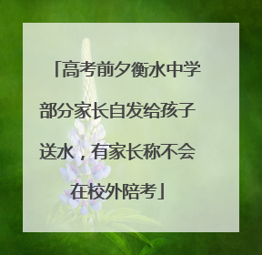 高考前夕衡水中学部分家长自发给孩子送水，有家长称不会在校外陪考