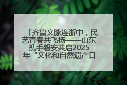 齐鲁文脉连浙中，民艺青春共飞扬——山东携手磐安共启2025年“文化和自然遗产日”系列活动