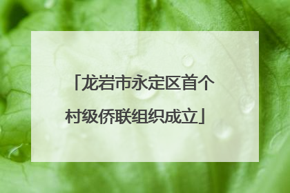 龙岩市永定区首个村级侨联组织成立
