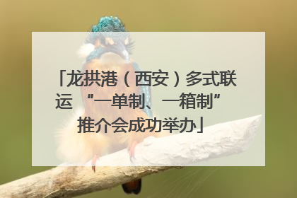 龙拱港（西安）多式联运 “一单制、一箱制” 推介会成功举办