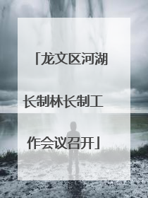 龙文区河湖长制林长制工作会议召开