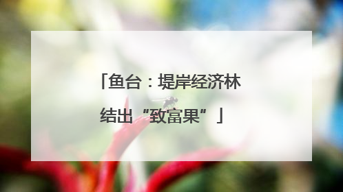鱼台：堤岸经济林结出“致富果”