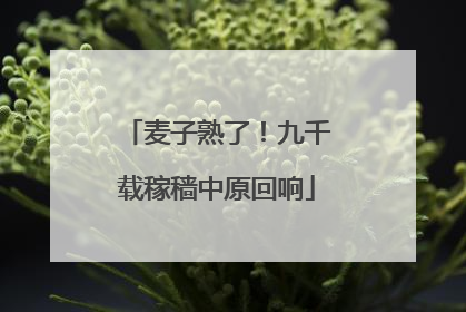 麦子熟了！九千载稼穑中原回响