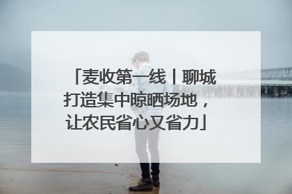 麦收第一线丨聊城打造集中晾晒场地，让农民省心又省力
