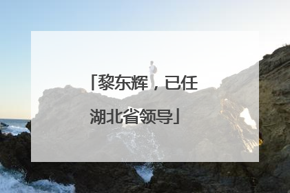 黎东辉，已任湖北省领导
