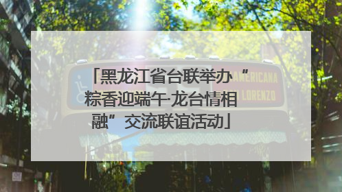 黑龙江省台联举办“粽香迎端午·龙台情相融”交流联谊活动