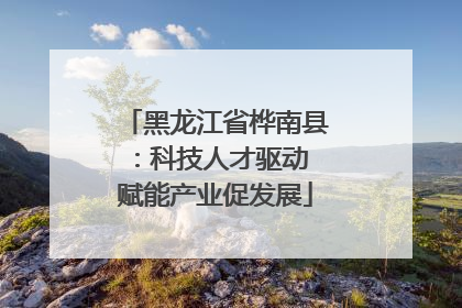 黑龙江省桦南县：科技人才驱动 赋能产业促发展