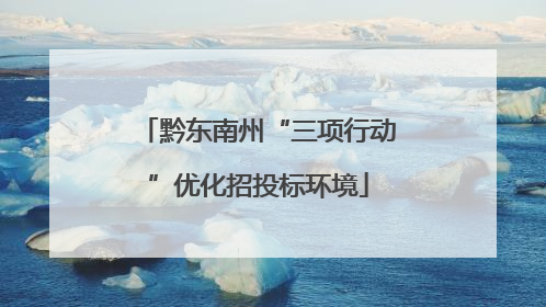 黔东南州“三项行动”优化招投标环境