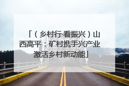 （乡村行·看振兴）山西高平：矿村携手兴产业 激活乡村新动能