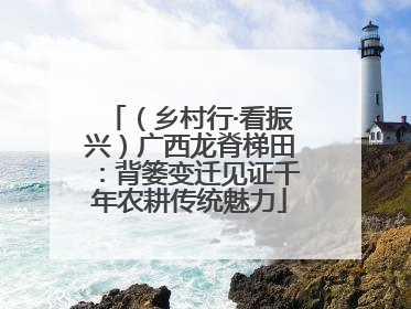 （乡村行·看振兴）广西龙脊梯田：背篓变迁见证千年农耕传统魅力