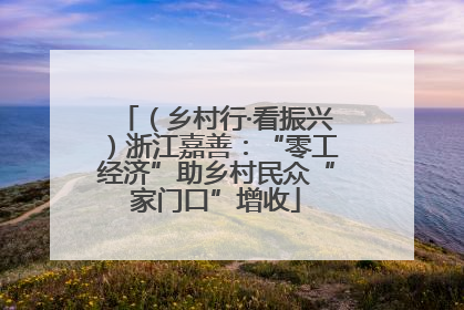 （乡村行·看振兴）浙江嘉善：“零工经济”助乡村民众“家门口”增收