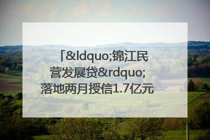 “锦江民营发展贷”落地两月授信1.7亿元，惠及118家民企