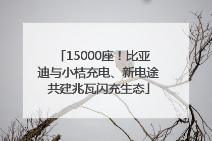 15000座！比亚迪与小桔充电、新电途共建兆瓦闪充生态