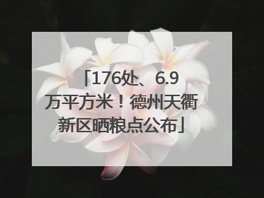 176处、6.9万平方米！德州天衢新区晒粮点公布
