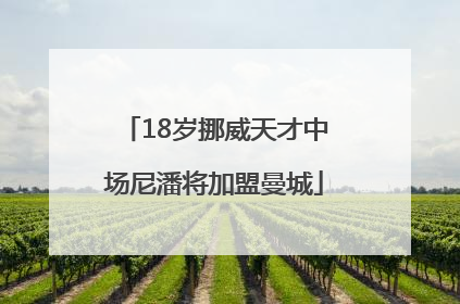 18岁挪威天才中场尼潘将加盟曼城