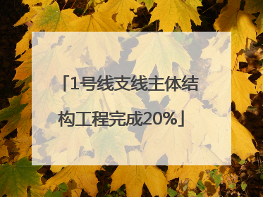1号线支线主体结构工程完成20%