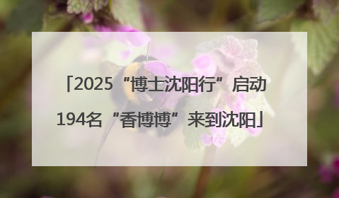 2025“博士沈阳行”启动 194名“香博博”来到沈阳