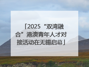 2025“双湾融合”港澳青年人才对接活动在无锡启幕