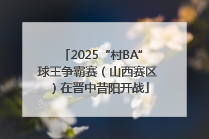 2025“村BA”球王争霸赛（山西赛区）在晋中昔阳开战