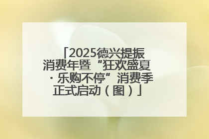 2025德兴提振消费年暨“狂欢盛夏・乐购不停”消费季正式启动（图）