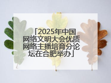 2025年中国网络文明大会优质网络主播培育分论坛在合肥举办