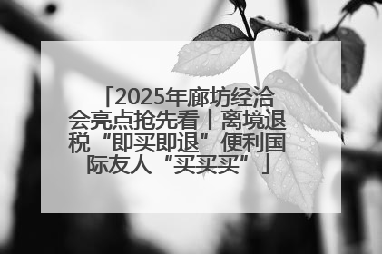 2025年廊坊经洽会亮点抢先看丨离境退税“即买即退”便利国际友人“买买买”