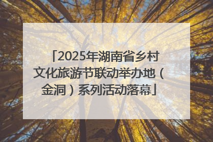 2025年湖南省乡村文化旅游节联动举办地（金洞）系列活动落幕