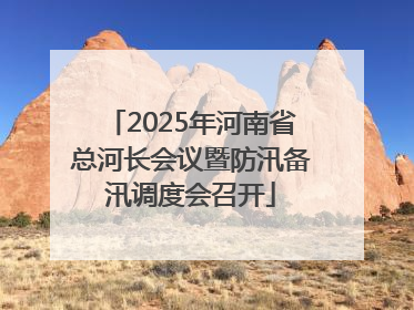 2025年河南省总河长会议暨防汛备汛调度会召开