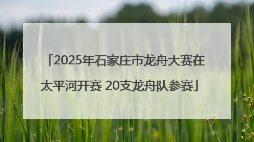 2025年石家庄市龙舟大赛在太平河开赛 20支龙舟队参赛