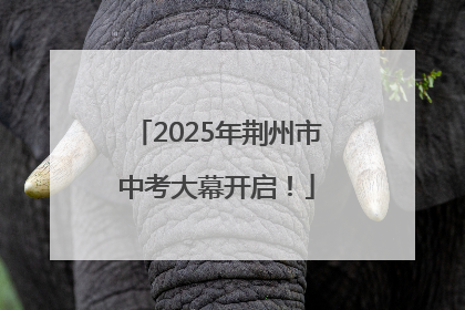 2025年荆州市中考大幕开启！