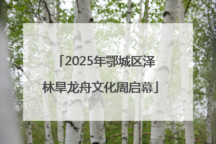 2025年鄂城区泽林旱龙舟文化周启幕