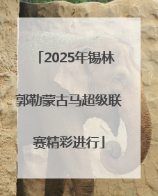 2025年锡林郭勒蒙古马超级联赛精彩进行