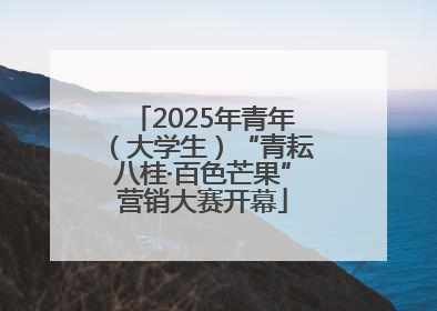 2025年青年（大学生）“青耘八桂·百色芒果”营销大赛开幕
