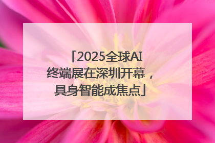 2025全球AI终端展在深圳开幕，具身智能成焦点