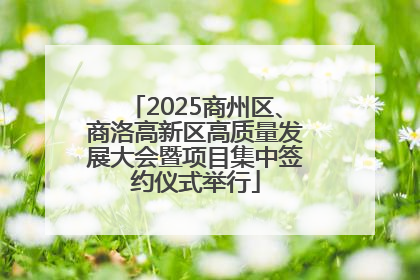 2025商州区、商洛高新区高质量发展大会暨项目集中签约仪式举行