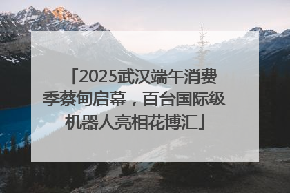 2025武汉端午消费季蔡甸启幕，百台国际级机器人亮相花博汇