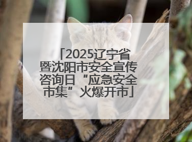 2025辽宁省暨沈阳市安全宣传咨询日“应急安全市集”火爆开市