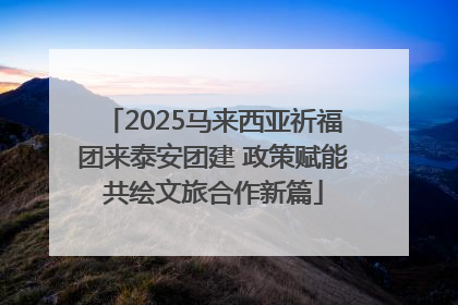 2025马来西亚祈福团来泰安团建 政策赋能共绘文旅合作新篇
