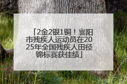 2金2银1铜！襄阳市残疾人运动员在2025年全国残疾人田径锦标赛获佳绩