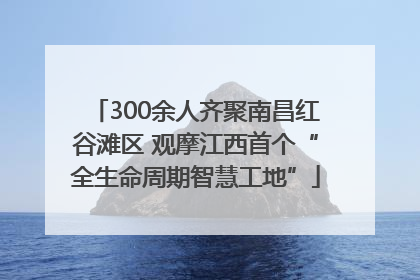 300余人齐聚南昌红谷滩区 观摩江西首个“全生命周期智慧工地”